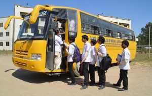 bus