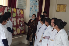 Nutrition-Lab2