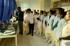 Pre-Clinical-Lab-2
